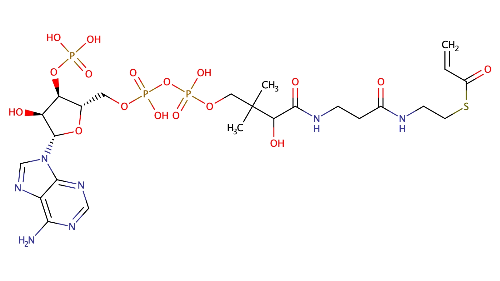 Acrylyl-Coenzyme A