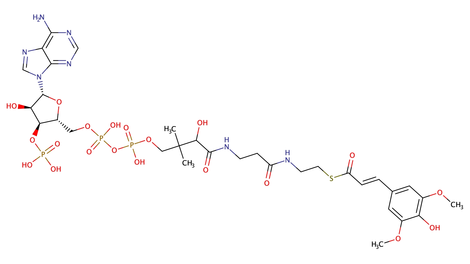 Sinapyl-Coenzyme A