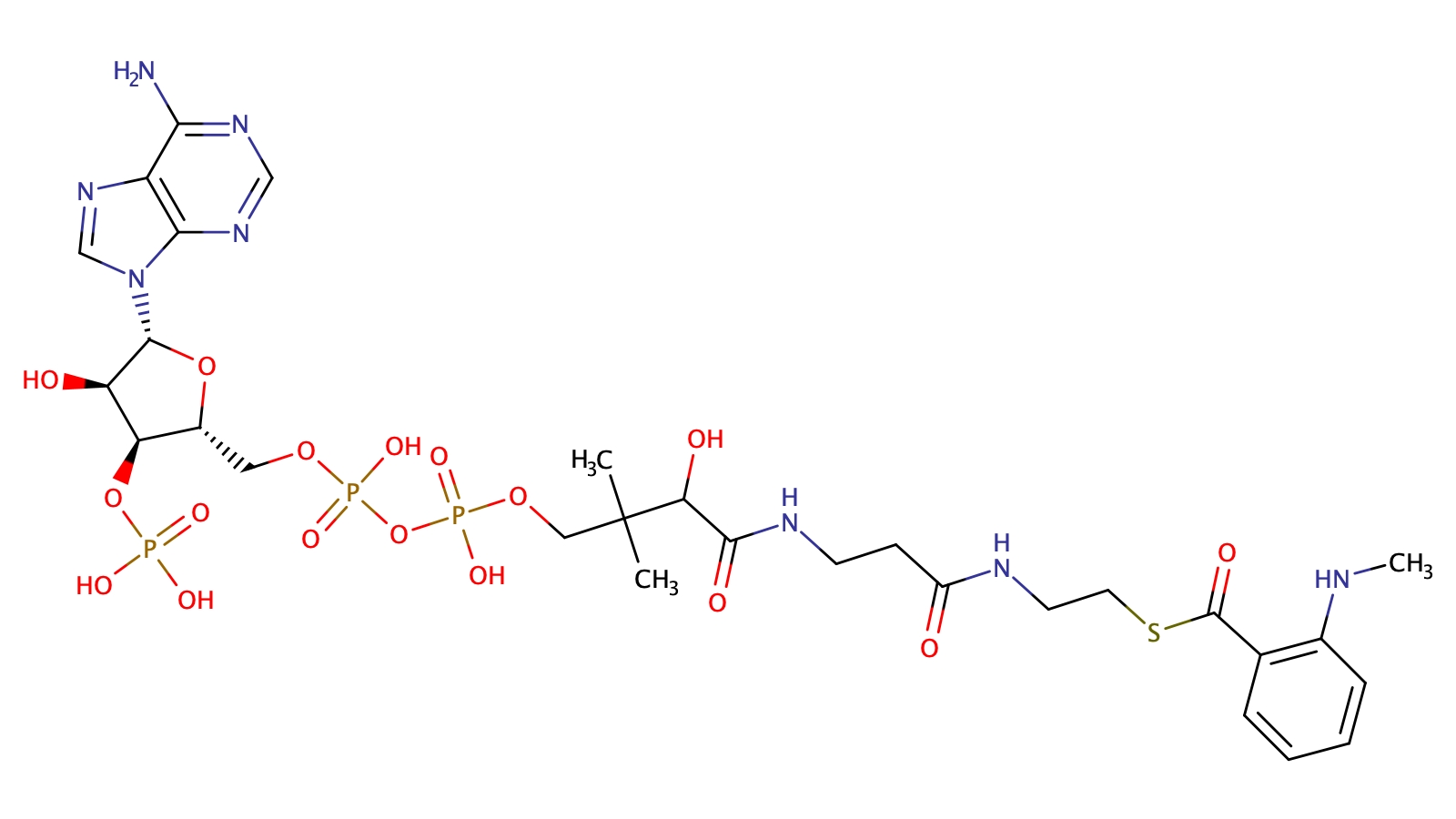 N-Methylantranyl-Coenzyme A