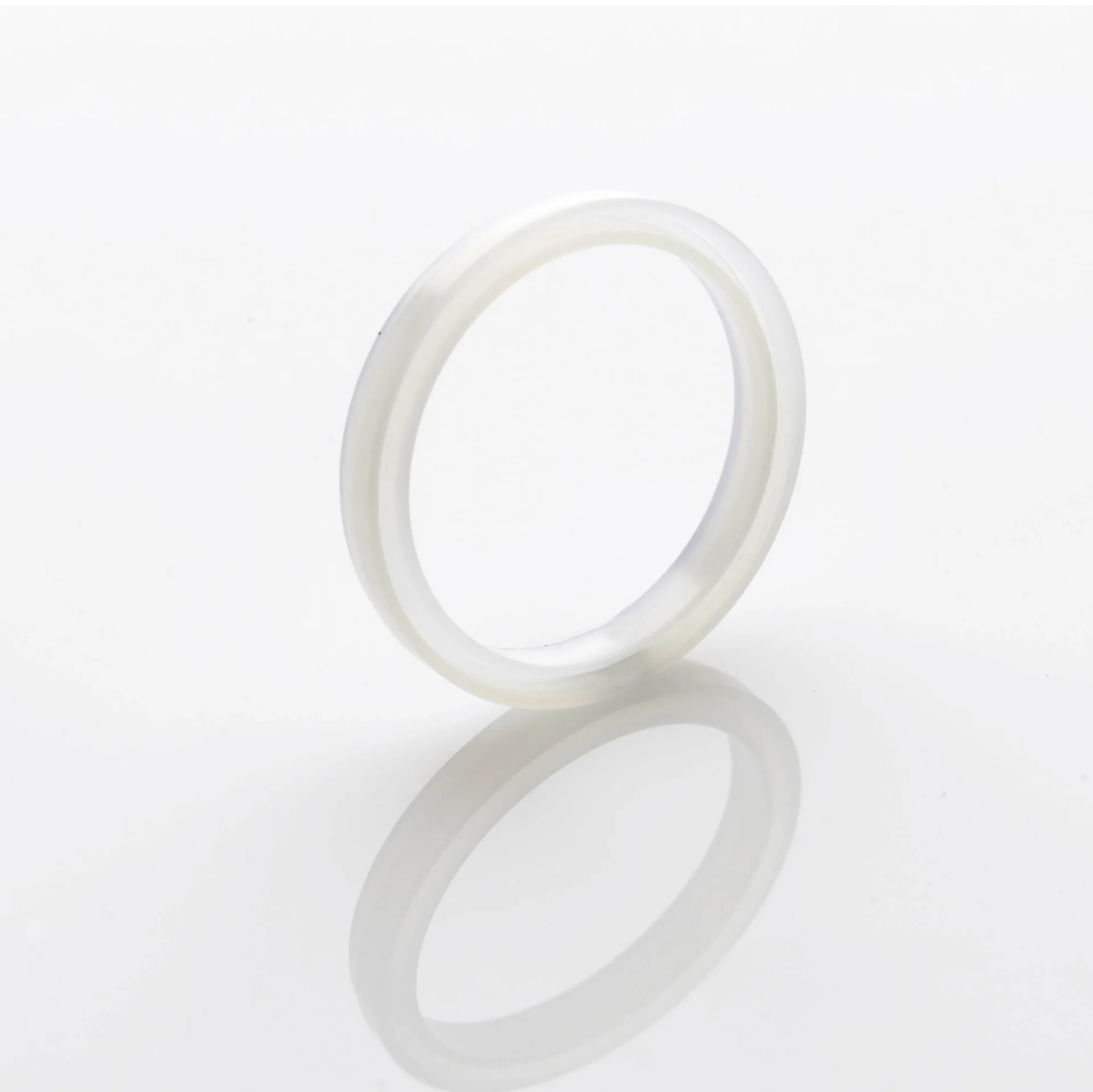 Thermo Fisher Isolation Seal