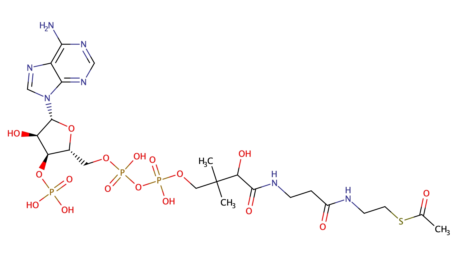 Acetyl-Coenzyme A