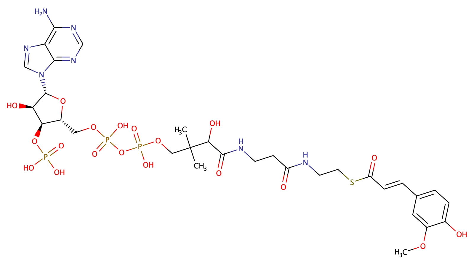 Feruloyl-Coenzyme A