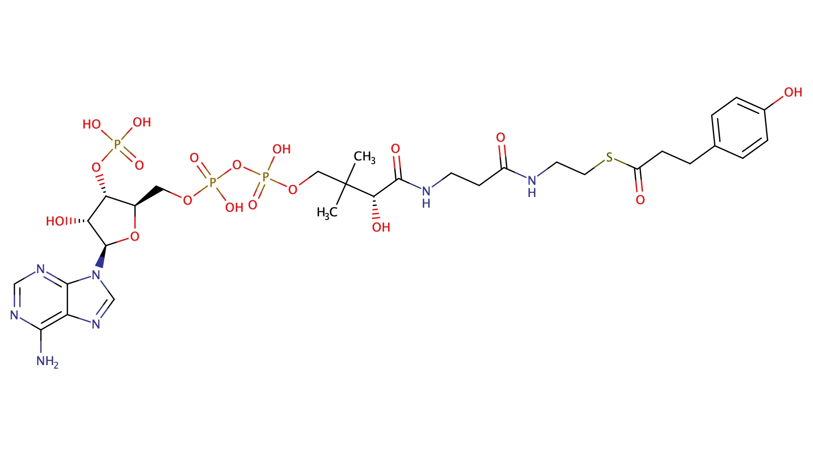 p-Dihydrocoumaroyl-Coenzyme A