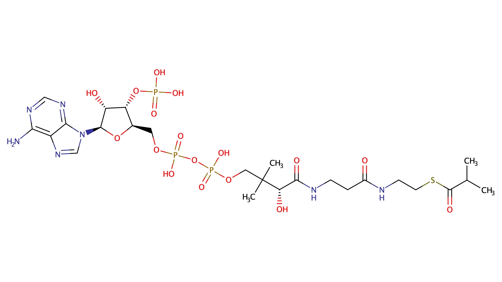 Isobutyryl-Coenzyme A