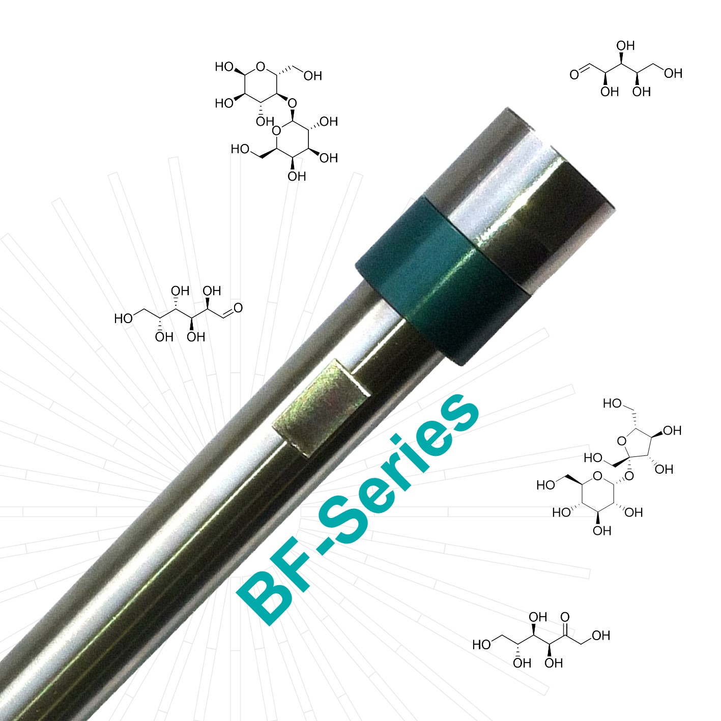 HPLC-Säule, BF-Serie, Metab-Pb, 300 x 7.8 mm