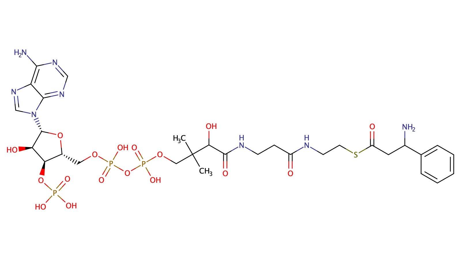 ß-Phenylalanin-Coenzyme A