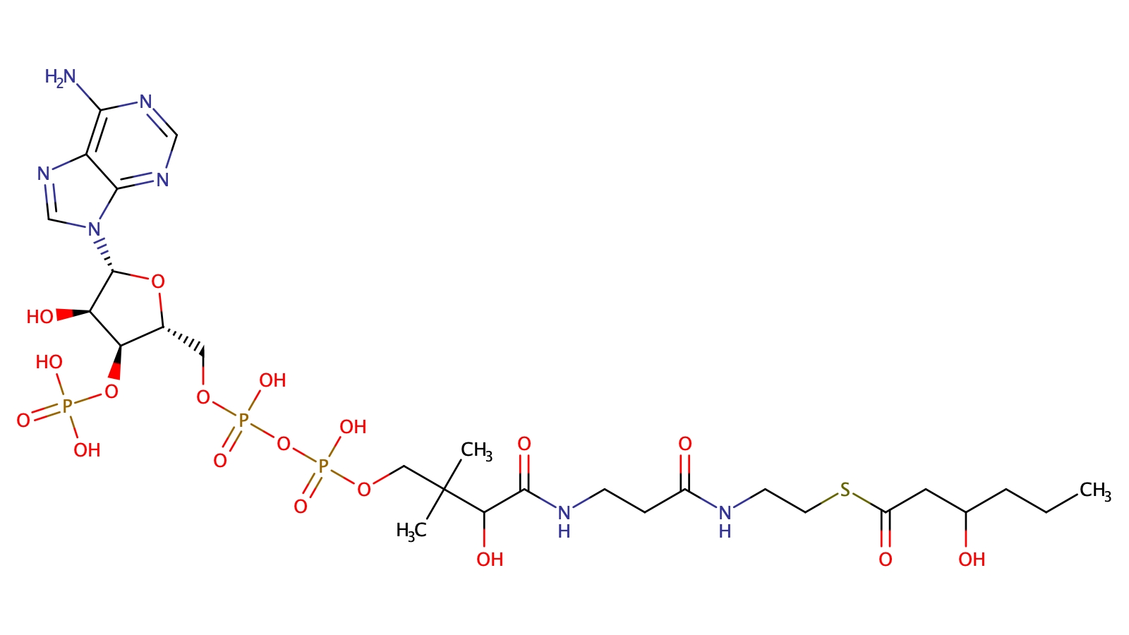 3-hydroxyhexanoyl-Coenzyme A