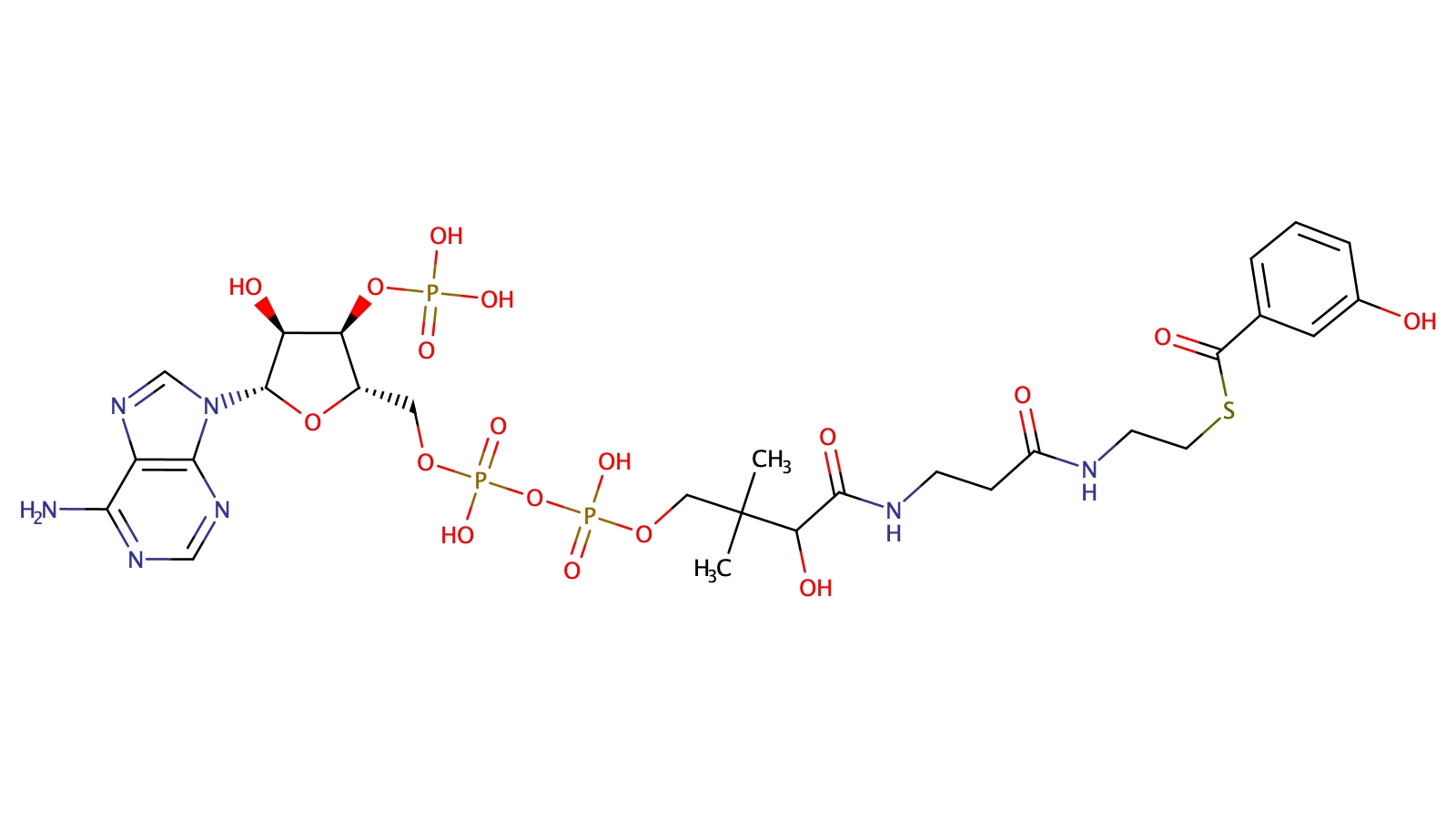 3-hydroxybenzoyl-Coenzyme A