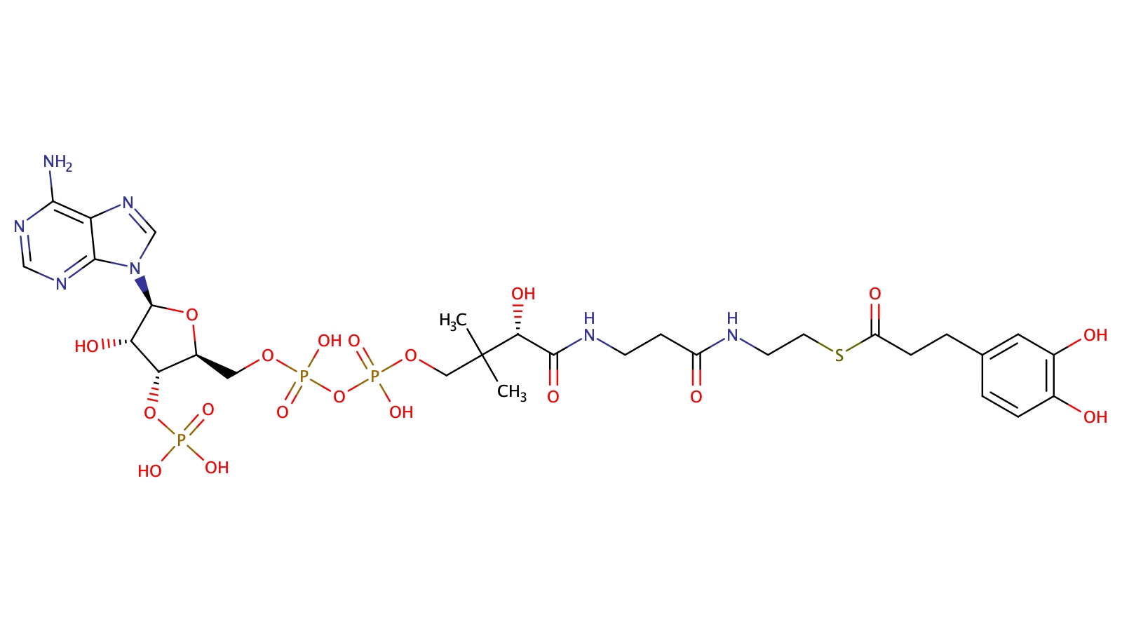 Dihydrocaffeoyl-Coenzyme A