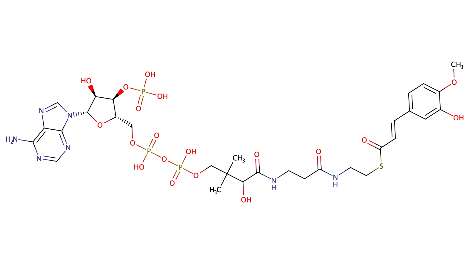 Isoferuoyl-Coenzym A