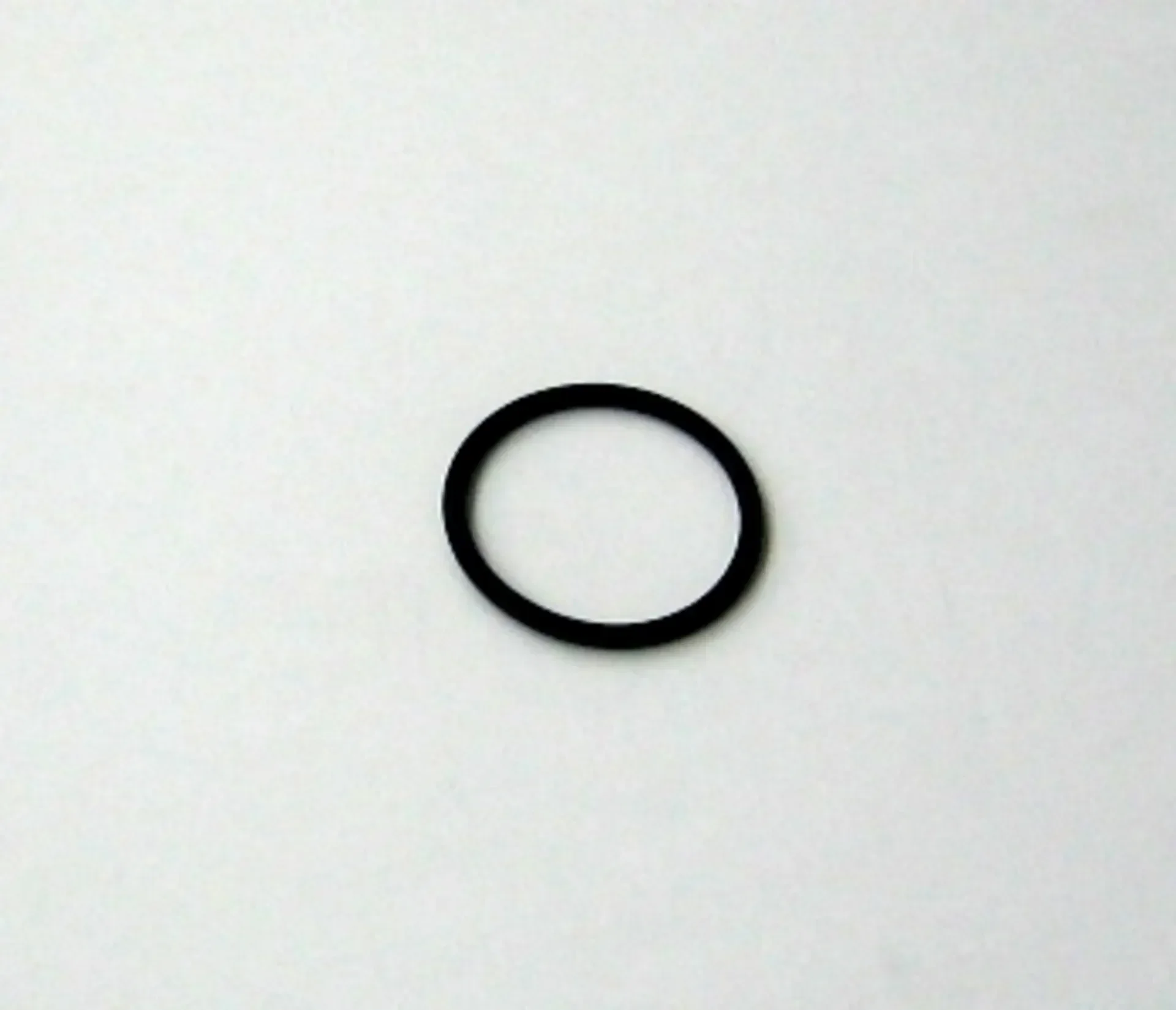 Waters O-Ring, 19 x 10mm for Pre Column Cartridge Holder